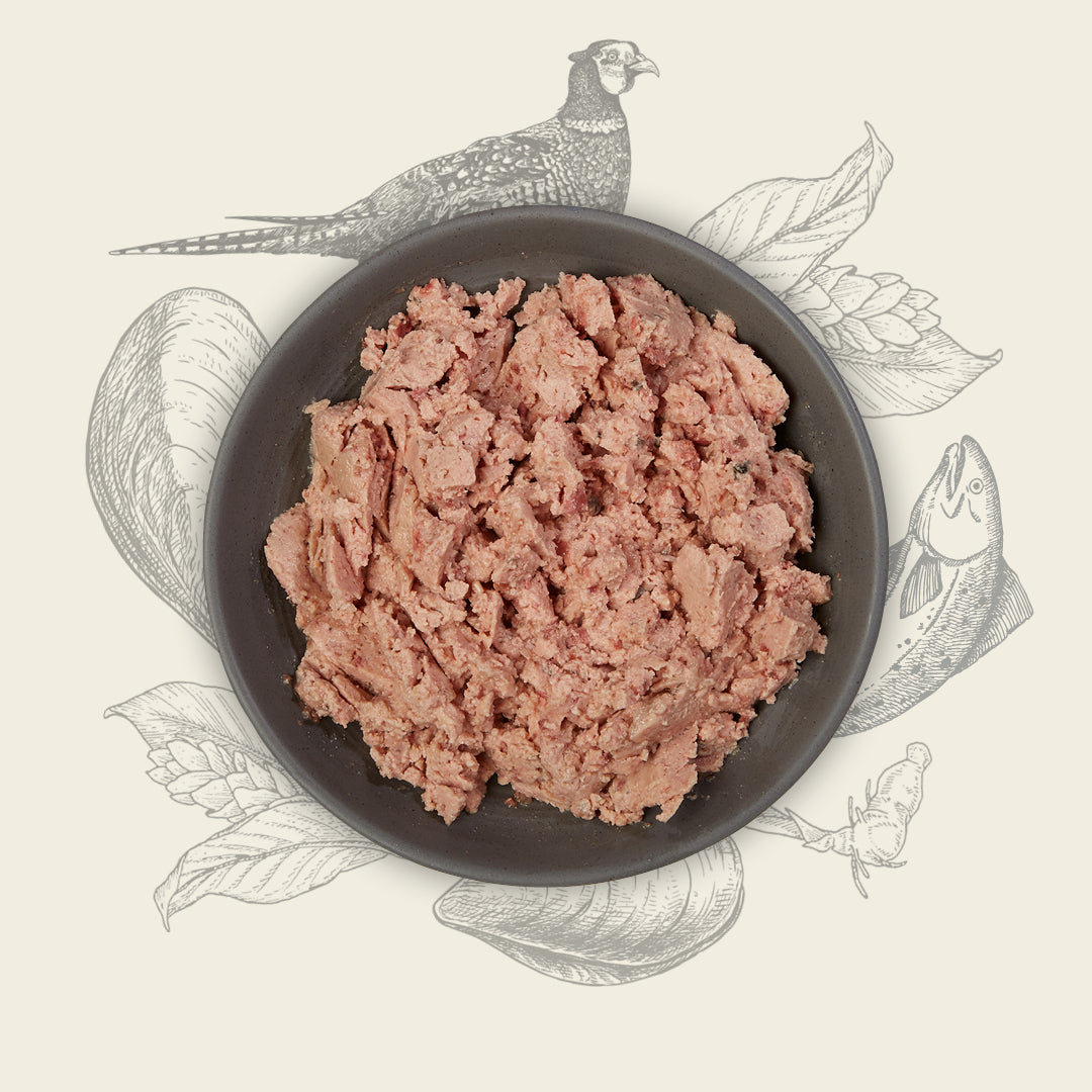 Eden Gourmet Salmon & Pheasant (wet)