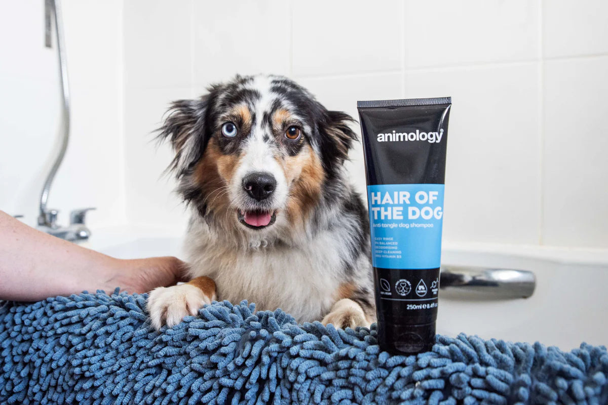 Animology Hair Of The Dog