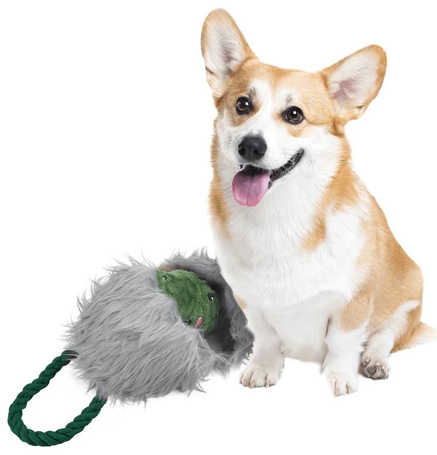 AFP Safari Dog
