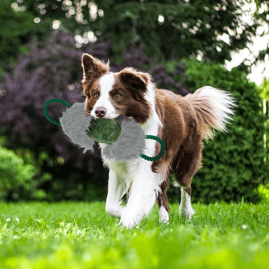 AFP Safari Dog