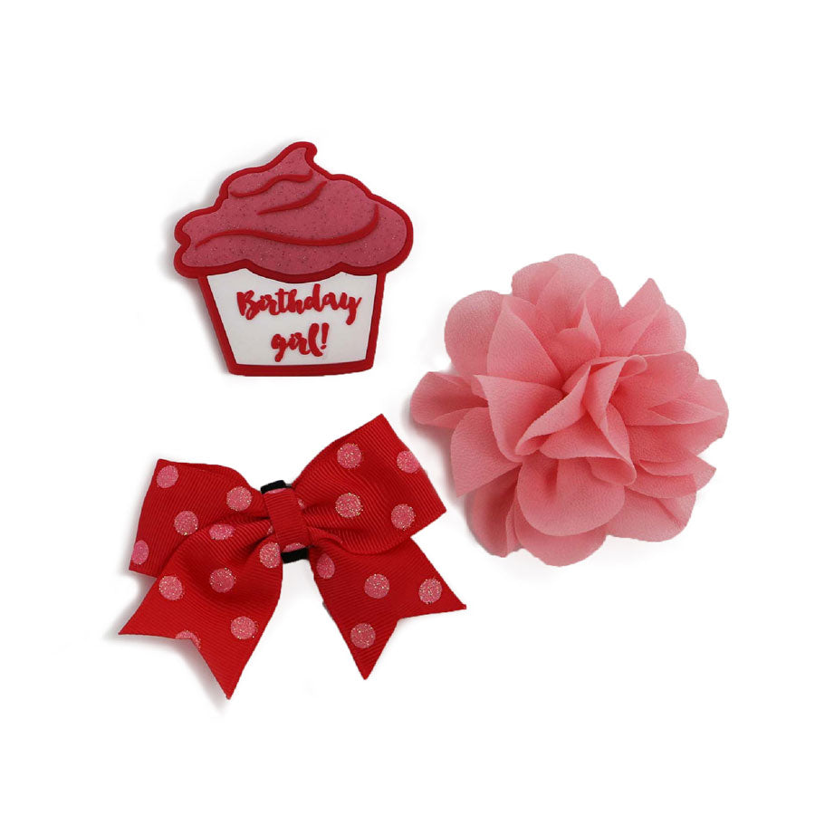 Birthday Set of Collar Accessories
