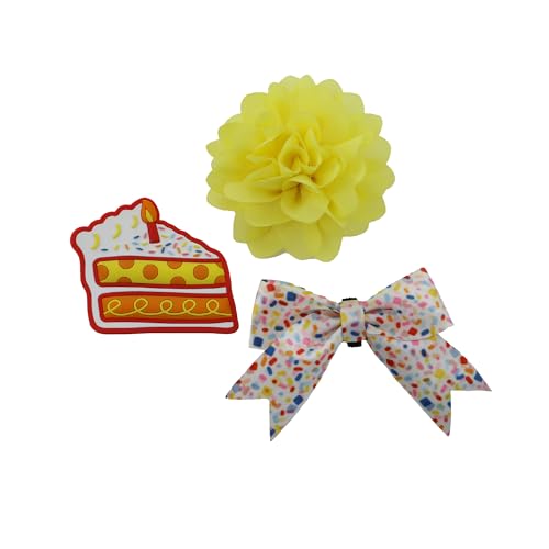 Birthday Set of Collar Accessories