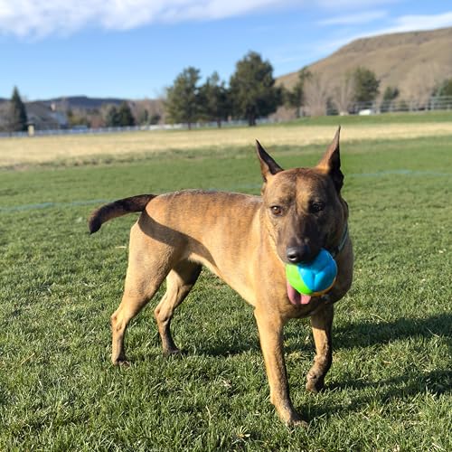 Kong High Viz Twistz Ball