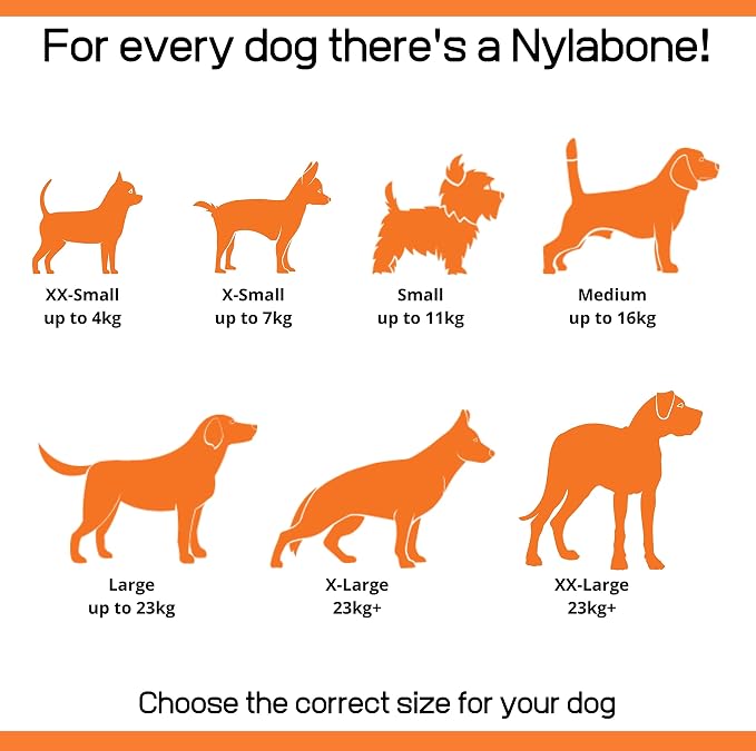 Nylabone Chew Bacon Flavour ( XL 23+ kg)