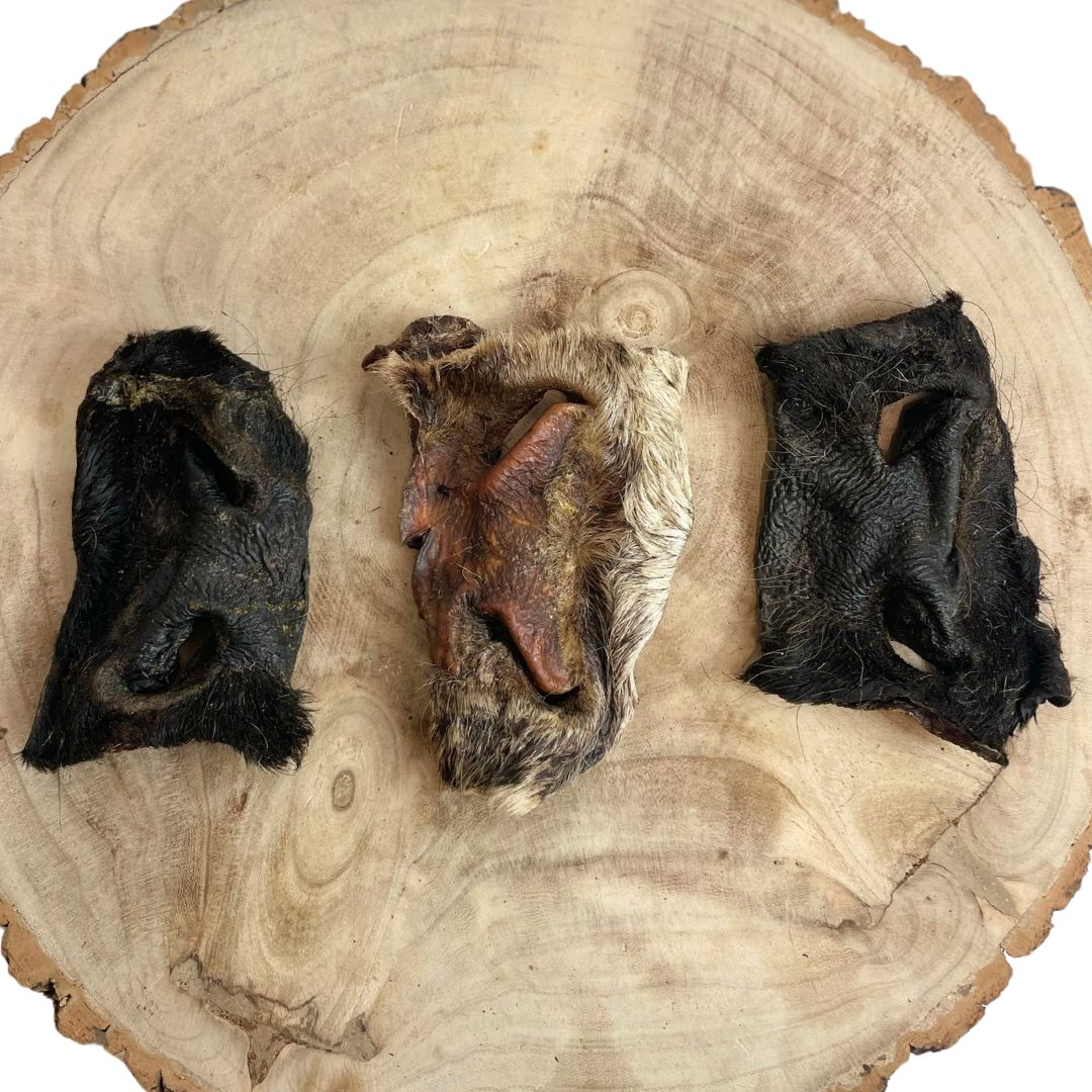 Hairy Beef Snout - Single