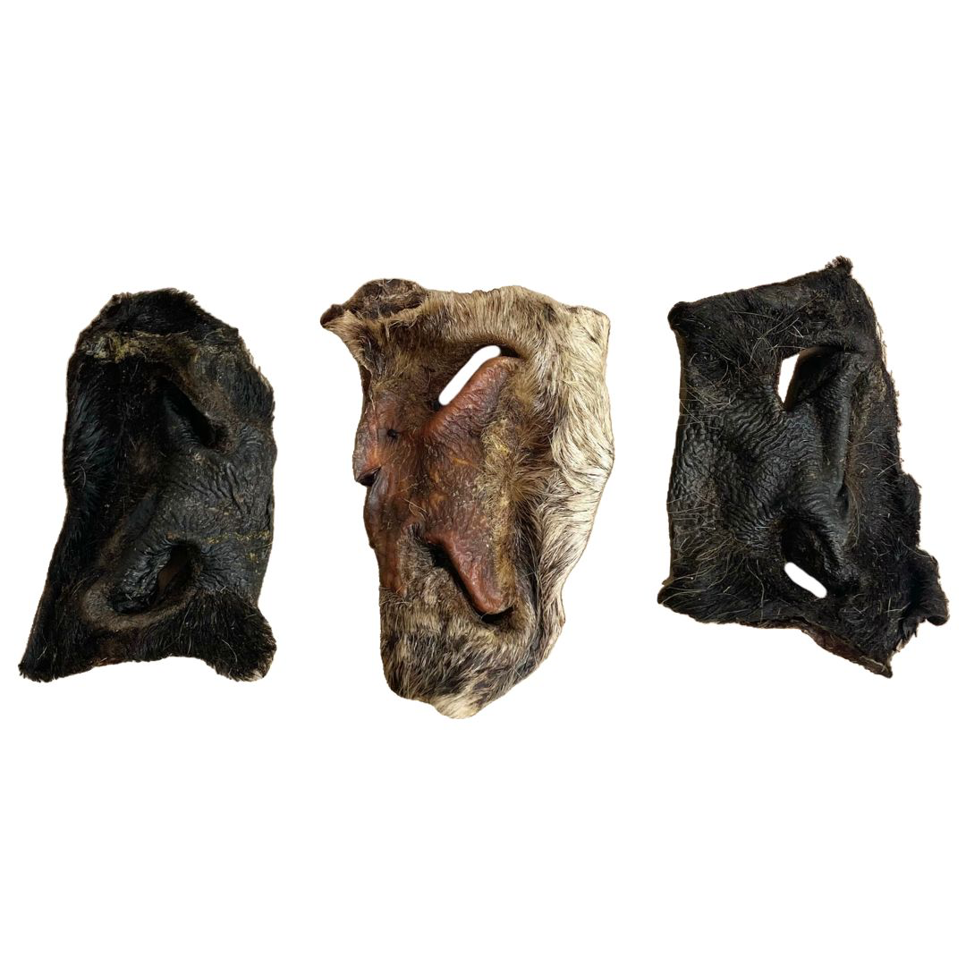 Hairy Beef Snout - Single