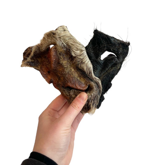 Hairy Beef Snout - Single