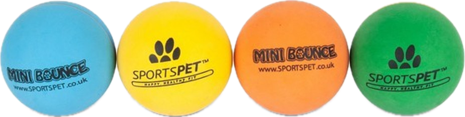 SportsPet Mini Bounce Ball