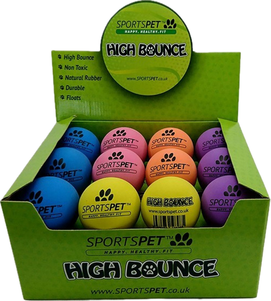 SportsPet High Bounce Medium Ball