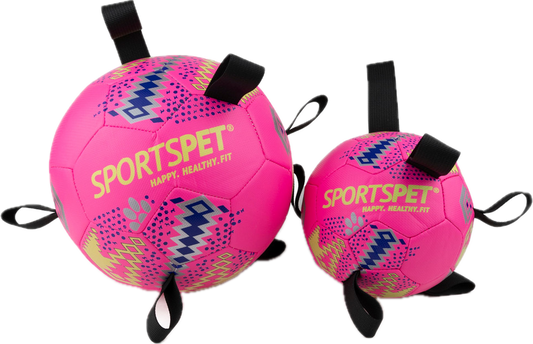 SportsPet Tab Football