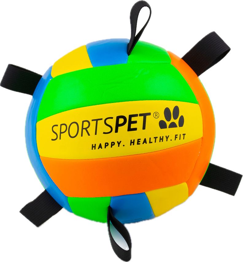 SportsPet Volleyball