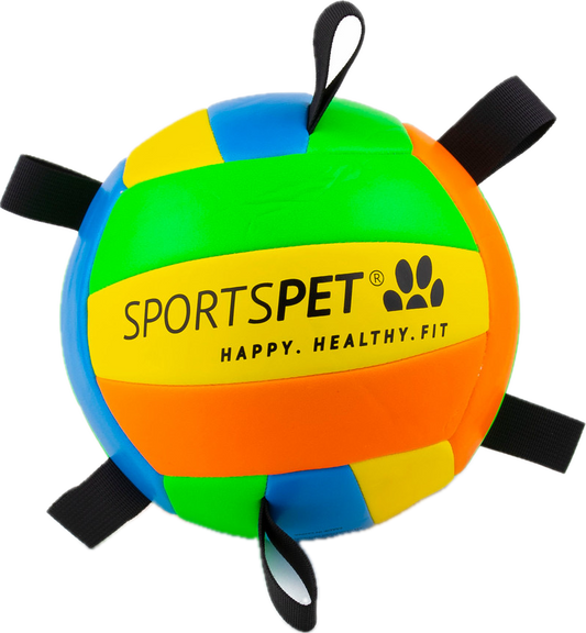 SportsPet Volleyball