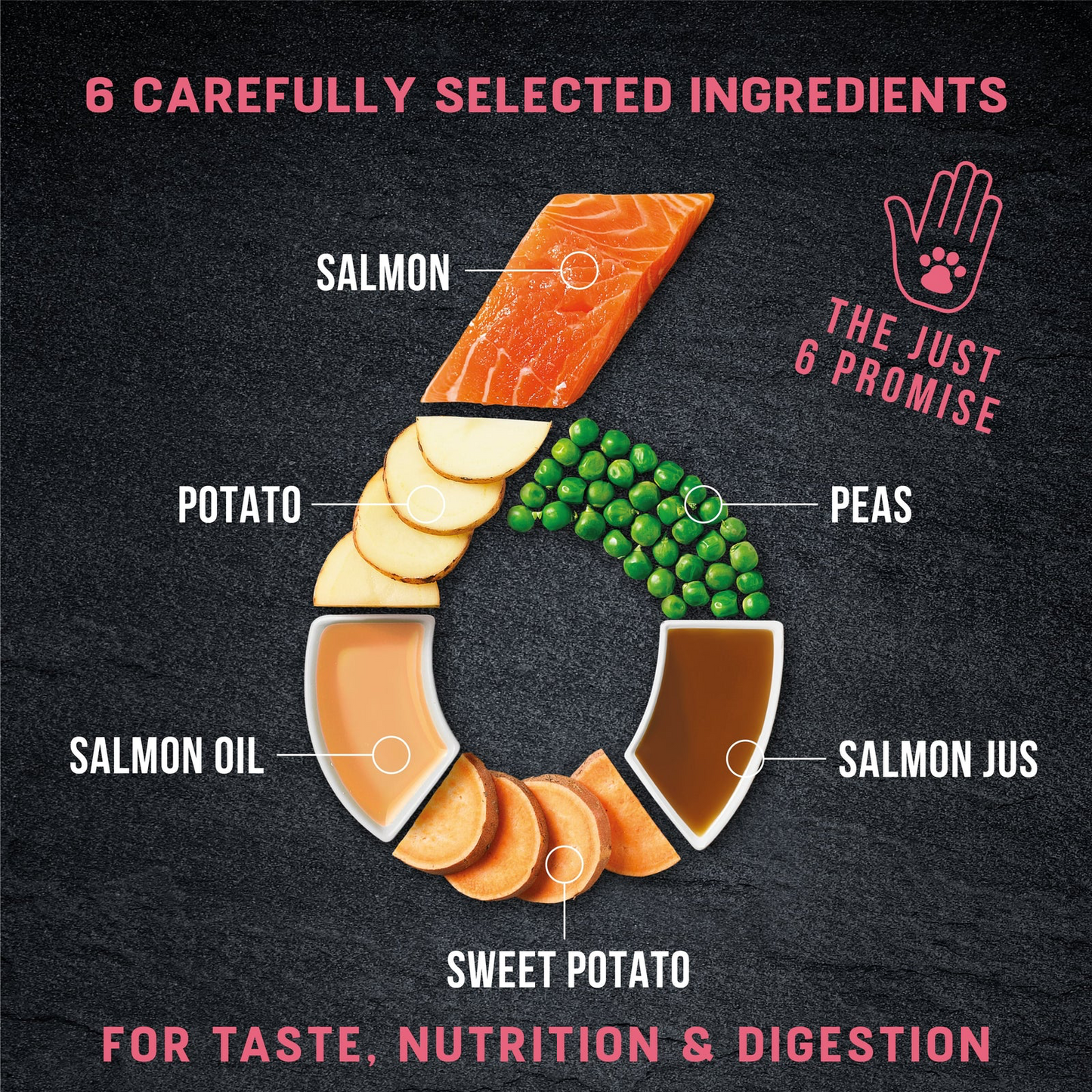 Harringtons JUST 6 Salmon with Vegetables in Gravy 380G