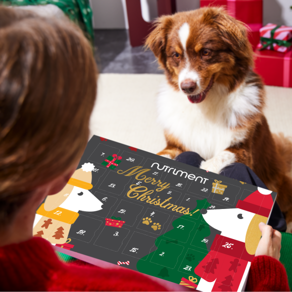 Gourmet Advent Calendar for Dogs