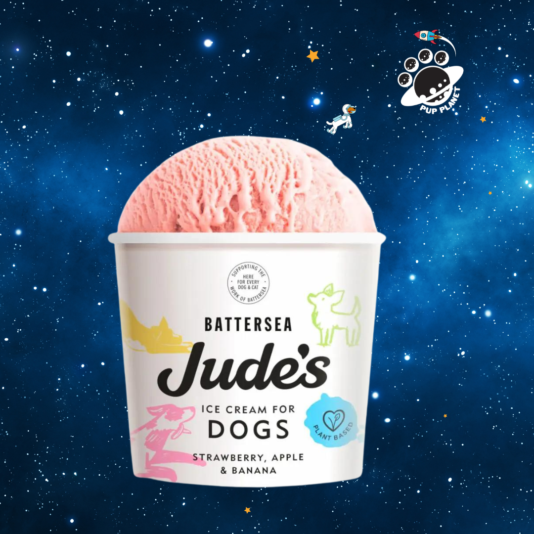 Jude's Ice Cream for Dogs