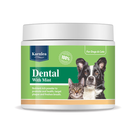 Karnlea - Dental - Mint - 200g