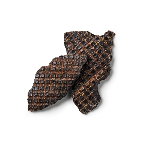 Two dark brown air dried Turkey liver pieces on a white background