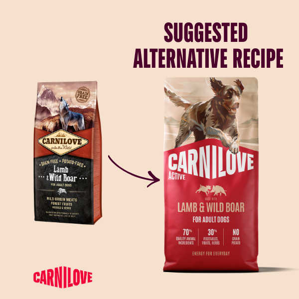 Carnilove Active Lamb & Wild Boar Dog Food for Adult Dogs 4kg