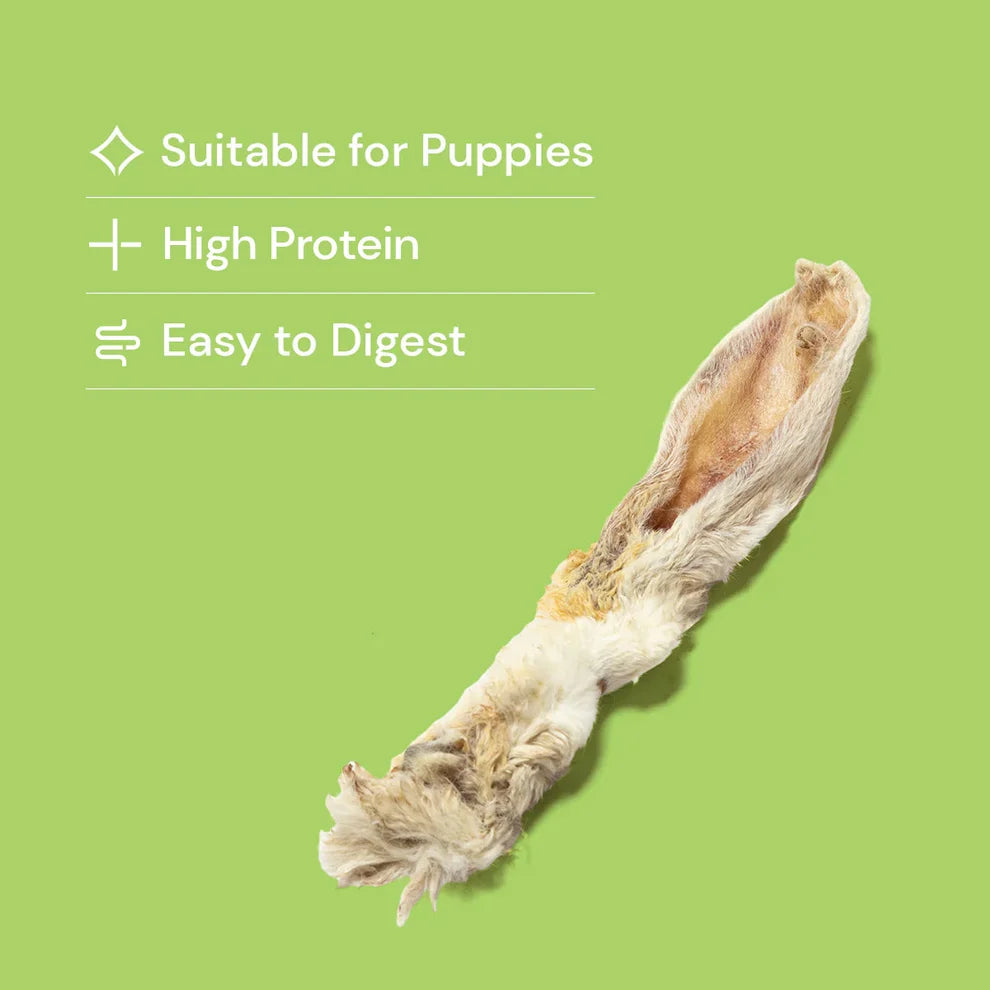 Dried pet treat on a green background with text indicating suitability for puppies, high protein content, and ease of digestion.
