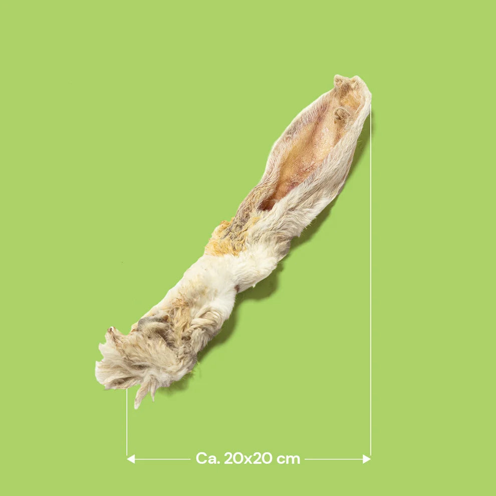 Single Hairy rabbit ear sizing - 20cm long