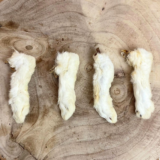 Paddock Farm Rabbit Feet 1kg Bag