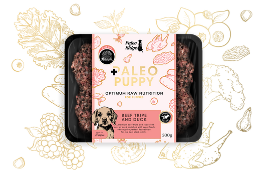 Paleo Ridge Puppy Beef Tripe & Duck 500G