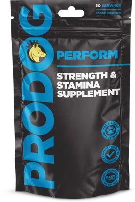 ProDog Perform - Strength & Stamina Supplement