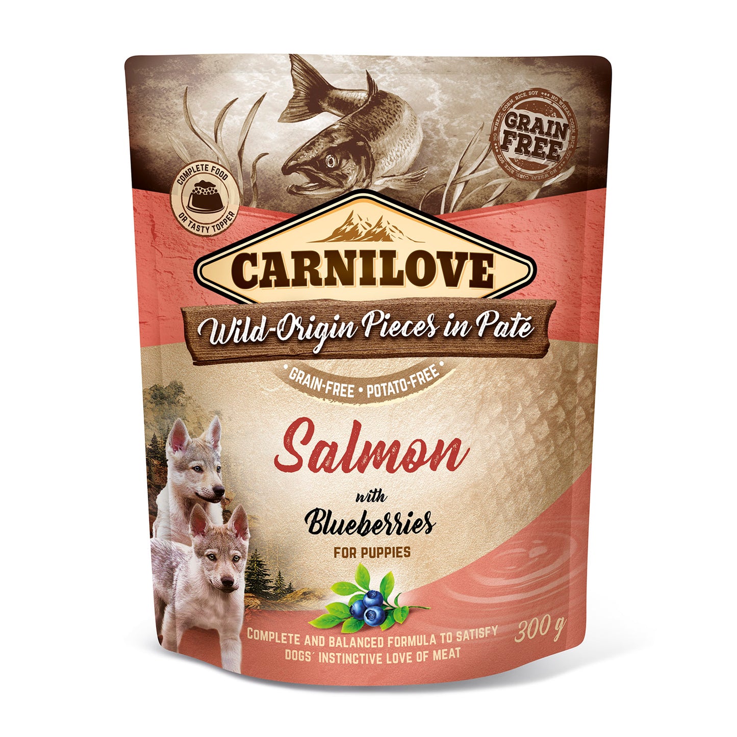 Carnilove Salmon with Blueberries Puppy Wet 300g - Pouch