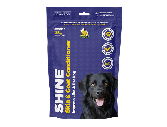 ProDog Shine Skin & Coat Supplement for Dogs