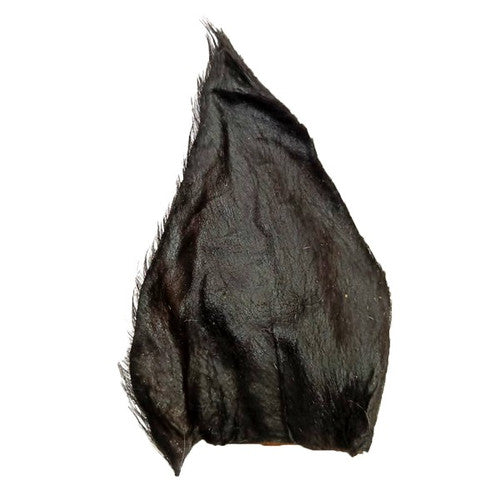 Water Buffalo Ear with Hair (single)