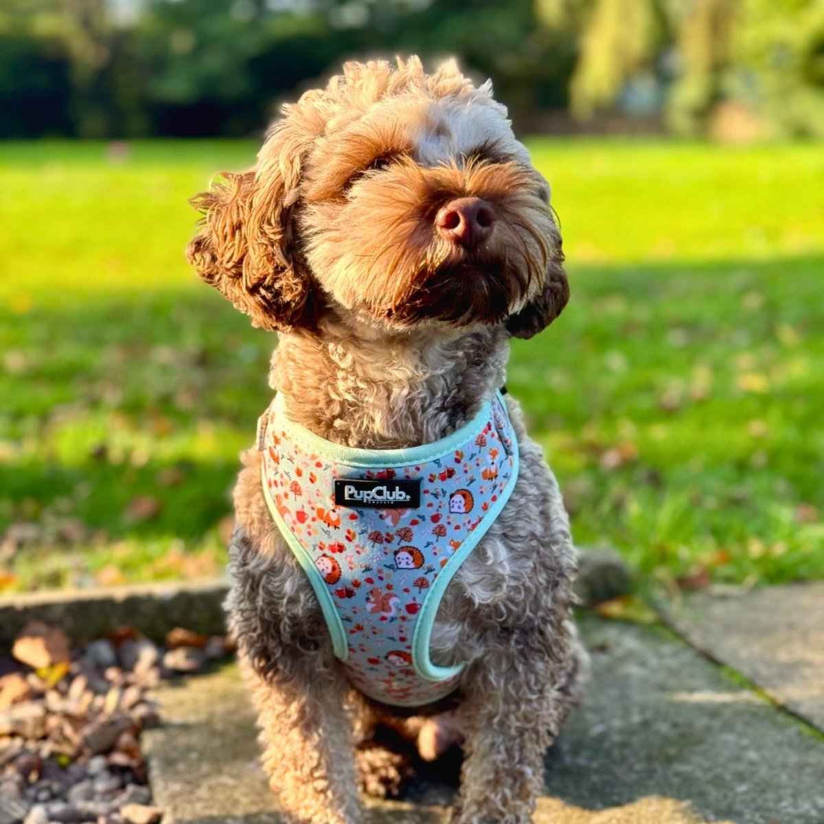 Adjustable Harness - Woodland Friends