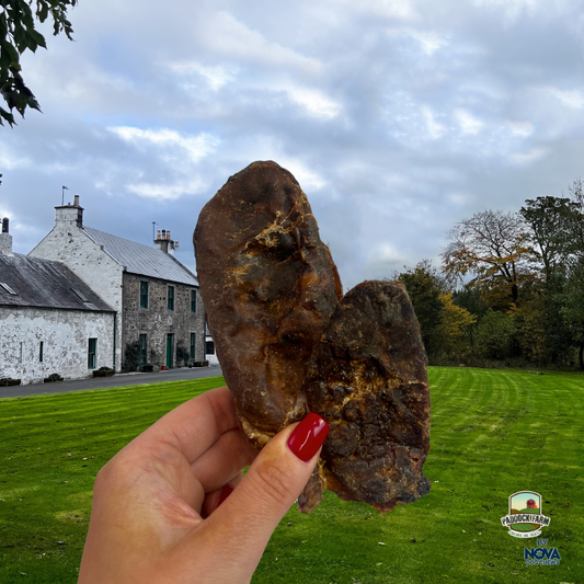 Air Dried Beef Testical - Single