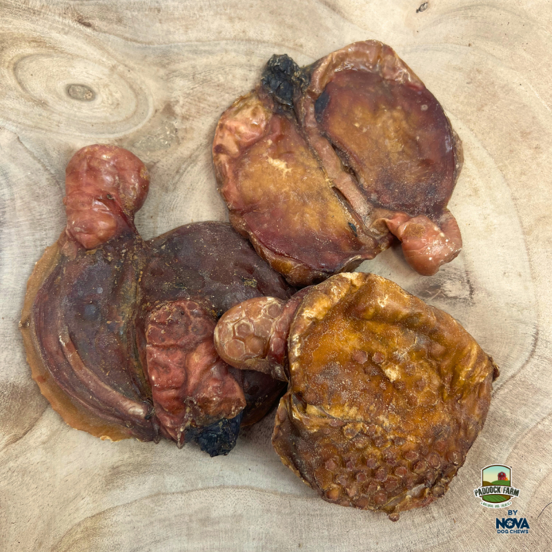 Air Dried Lamb Testical - Single