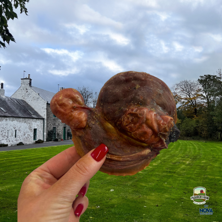 Air Dried Lamb Testical - Single
