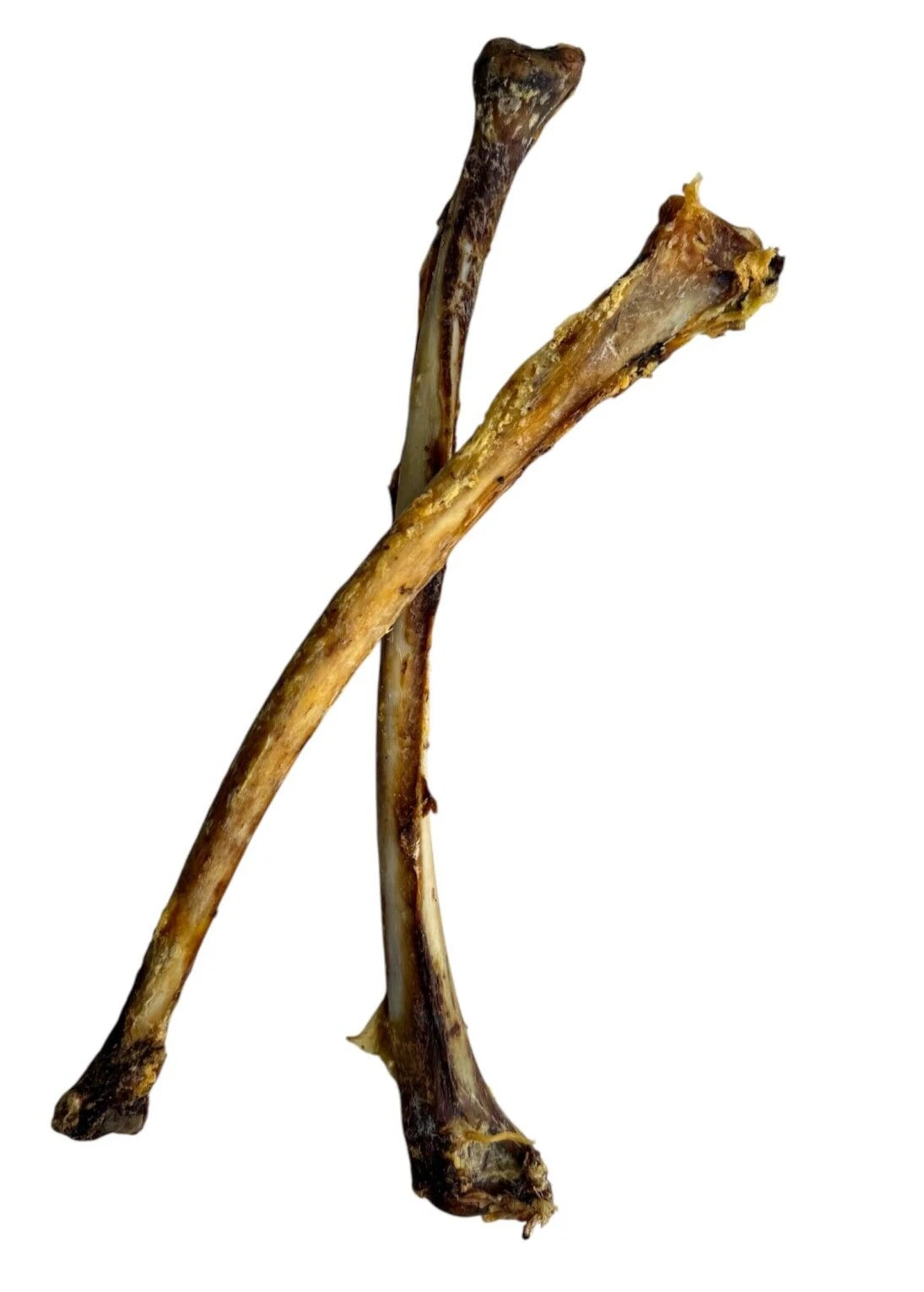 Air-Dried Ostrich Wing Bone