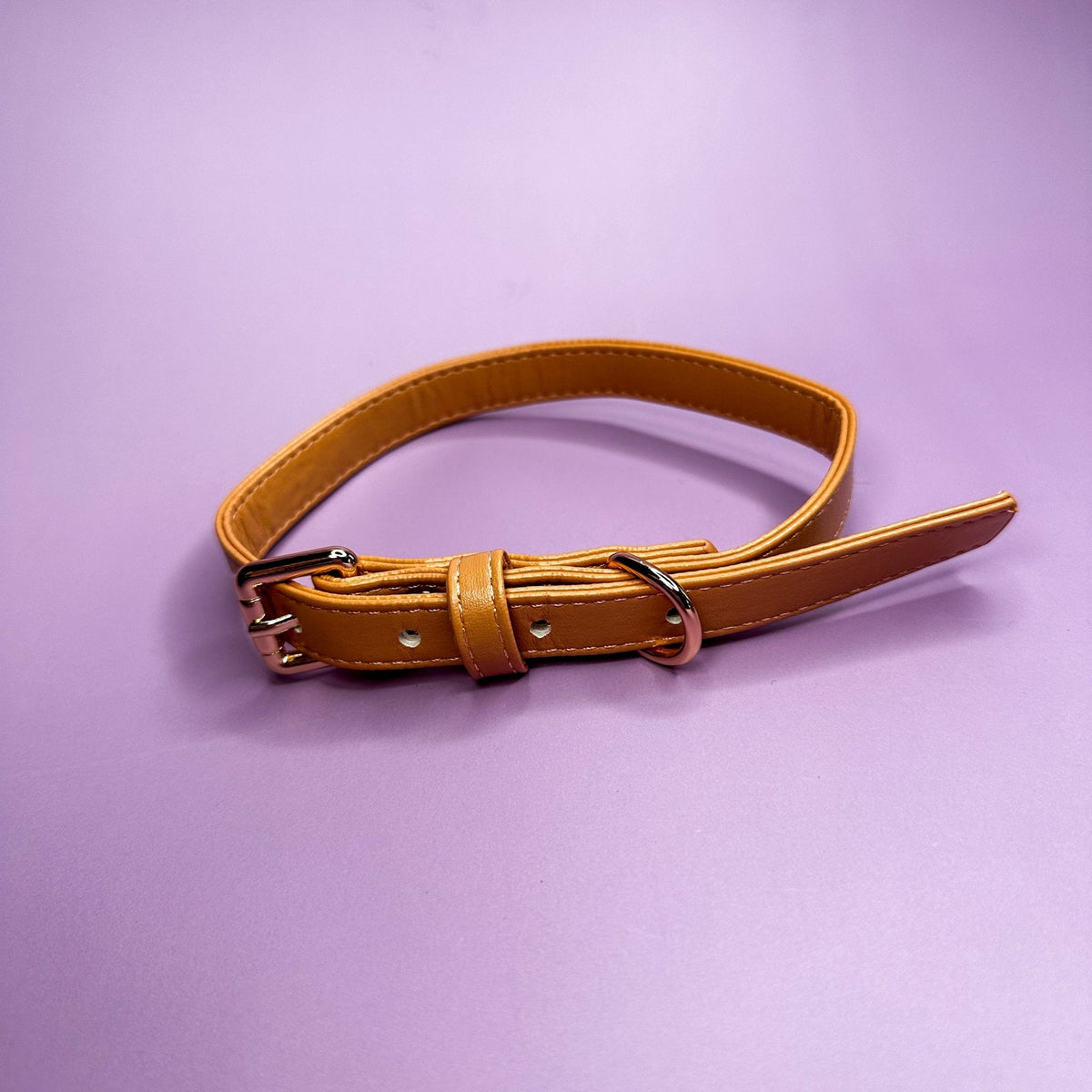 Alfresco Pup vegan leather dog collar - camel colour buckle dog collar