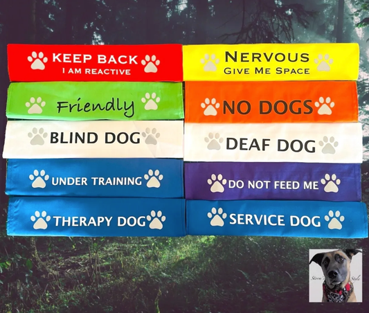 Lead Slips - Reactive, Nervous, Blind, Deaf, Friendly