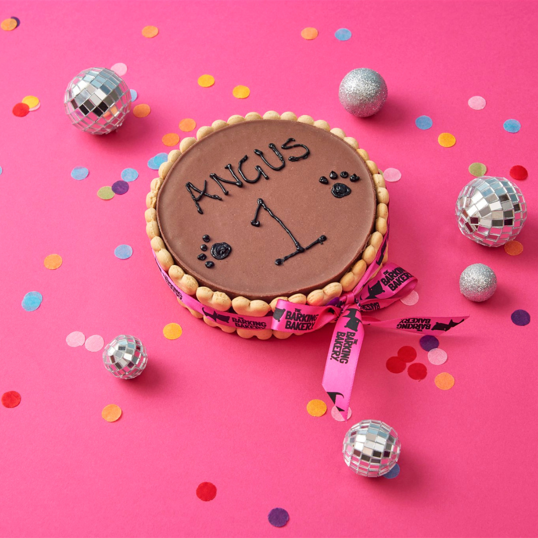 Example of a Barking Bakery carob Pawty Cake decorated using an icing pen with a dog's name and age