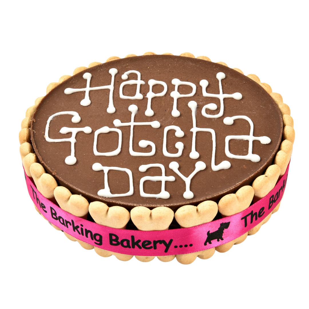 Example of a carob Pawty Cake decorated with a Happy Gotcha Day message
