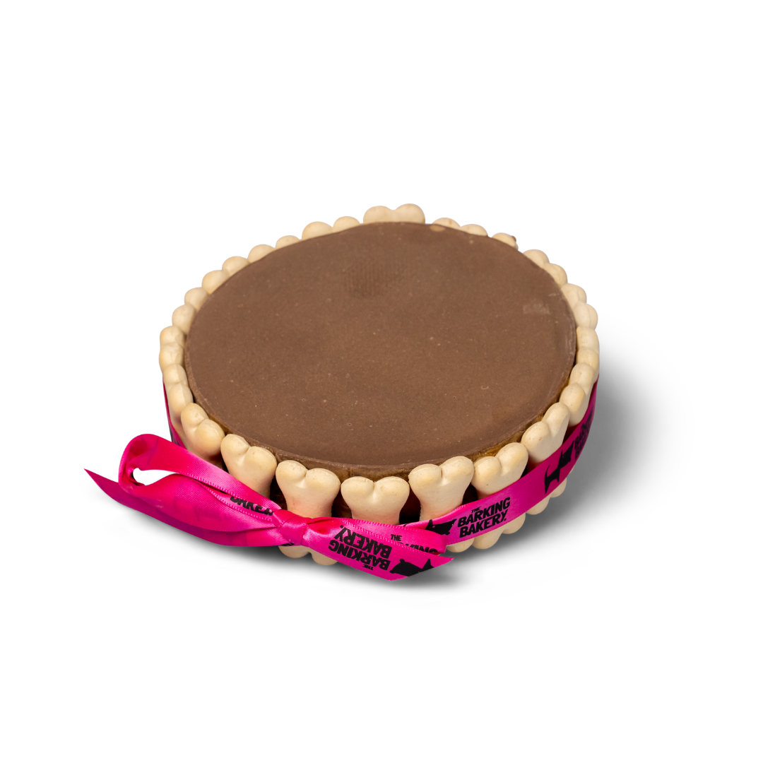 Plain six-inch carob yoghurt Pawty Cake with a crunchy bone-shaped biscuit border and pink ribbon
