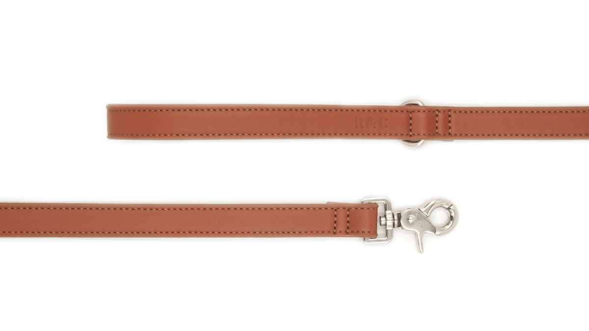 Brown Lignify Dog Lead
