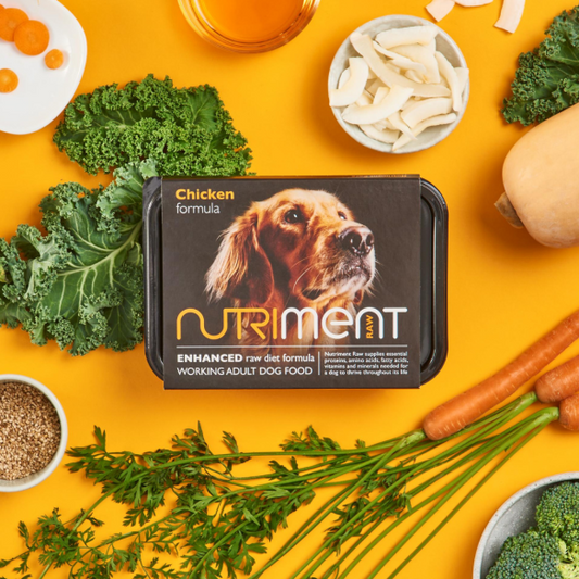 Nutriment puppy food clearance