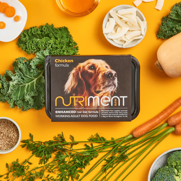 Nutriment - Chicken - Adult - 500G Tub