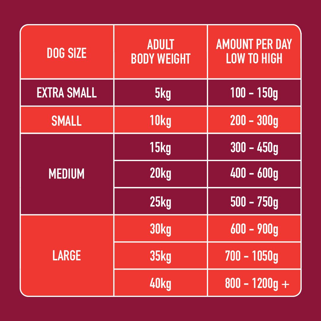 Table showing dog size, adult body weight, and recommended food amount per day on a red background.