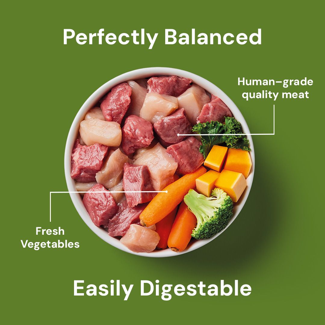  bowl of human-grade quality meat and fresh vegetables on a green background