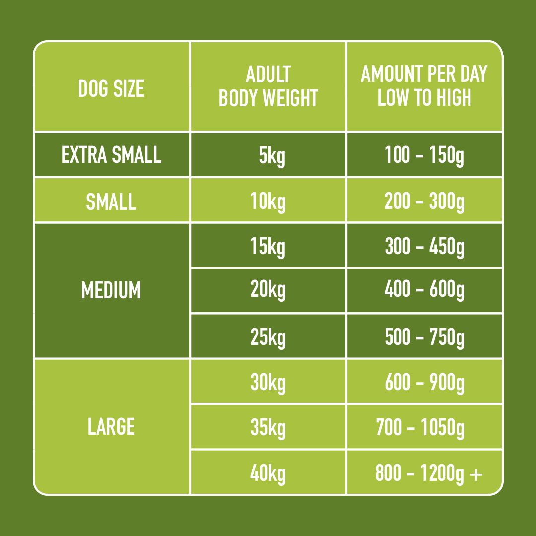 Chart showing recommended dog food amounts per day based on size and weight on a green background