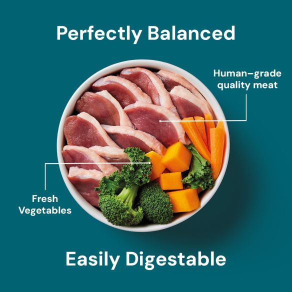  bowl of human-grade quality meat and fresh vegetables with text on a blue background