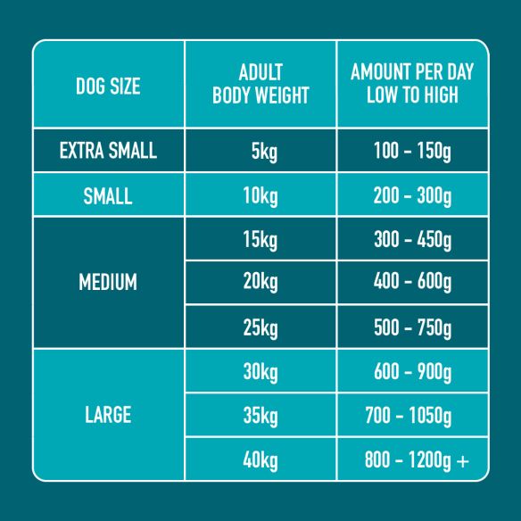 Table showing dog size, adult body weight, and amount of food per day on a teal background