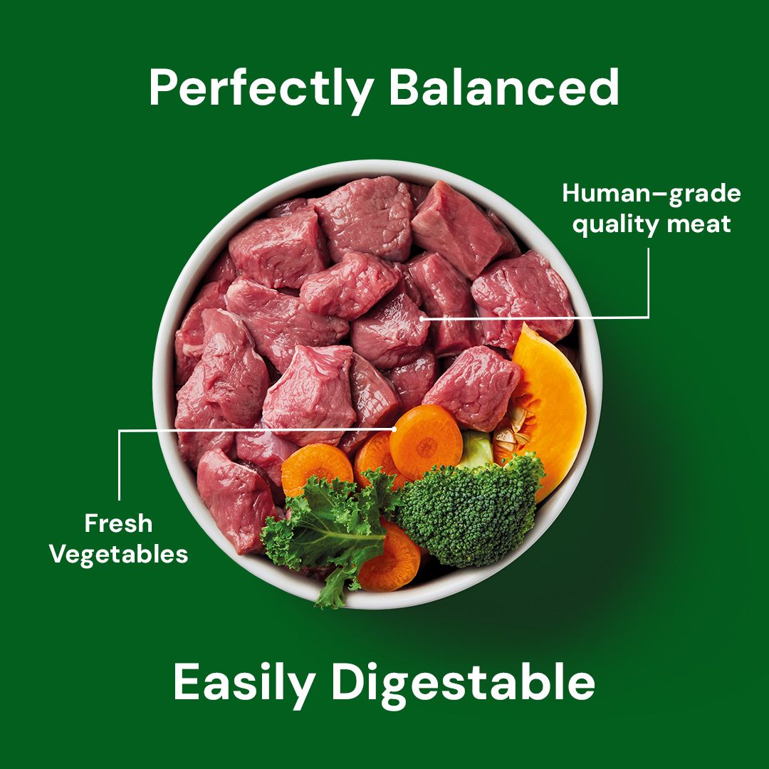 Bowl of human-grade quality meat with fresh vegetables on a green background