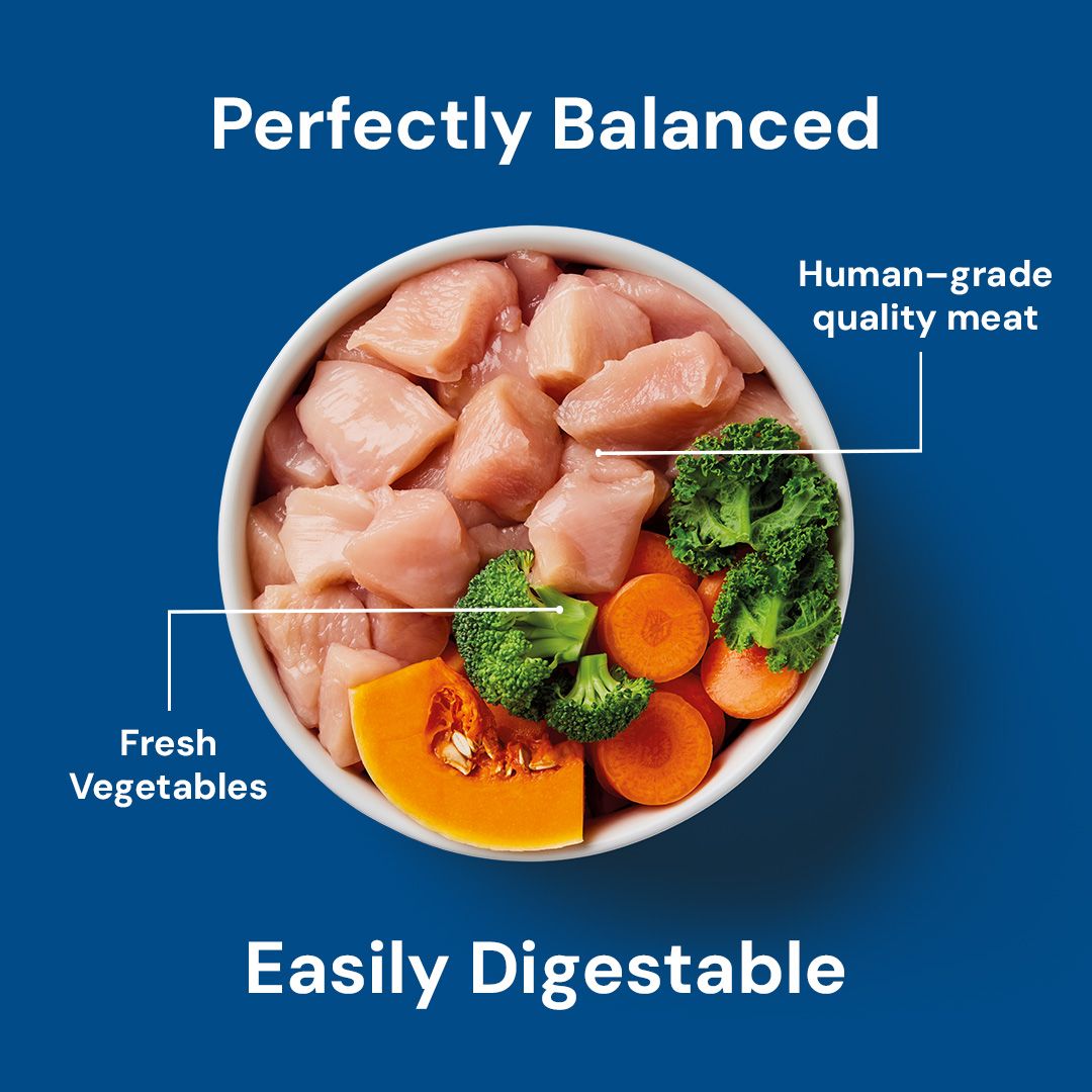  bowl of human-grade quality meat and fresh vegetables on a blue background